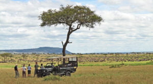 13-Day Ultimate Tanzania Family Adventure Safari
