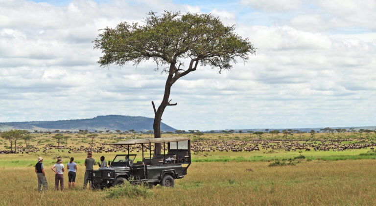13-Day Ultimate Tanzania Family Adventure Safari