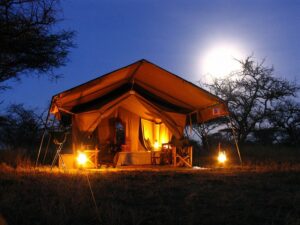 14-Day Ultimate Kenyan Family Safari Adventure