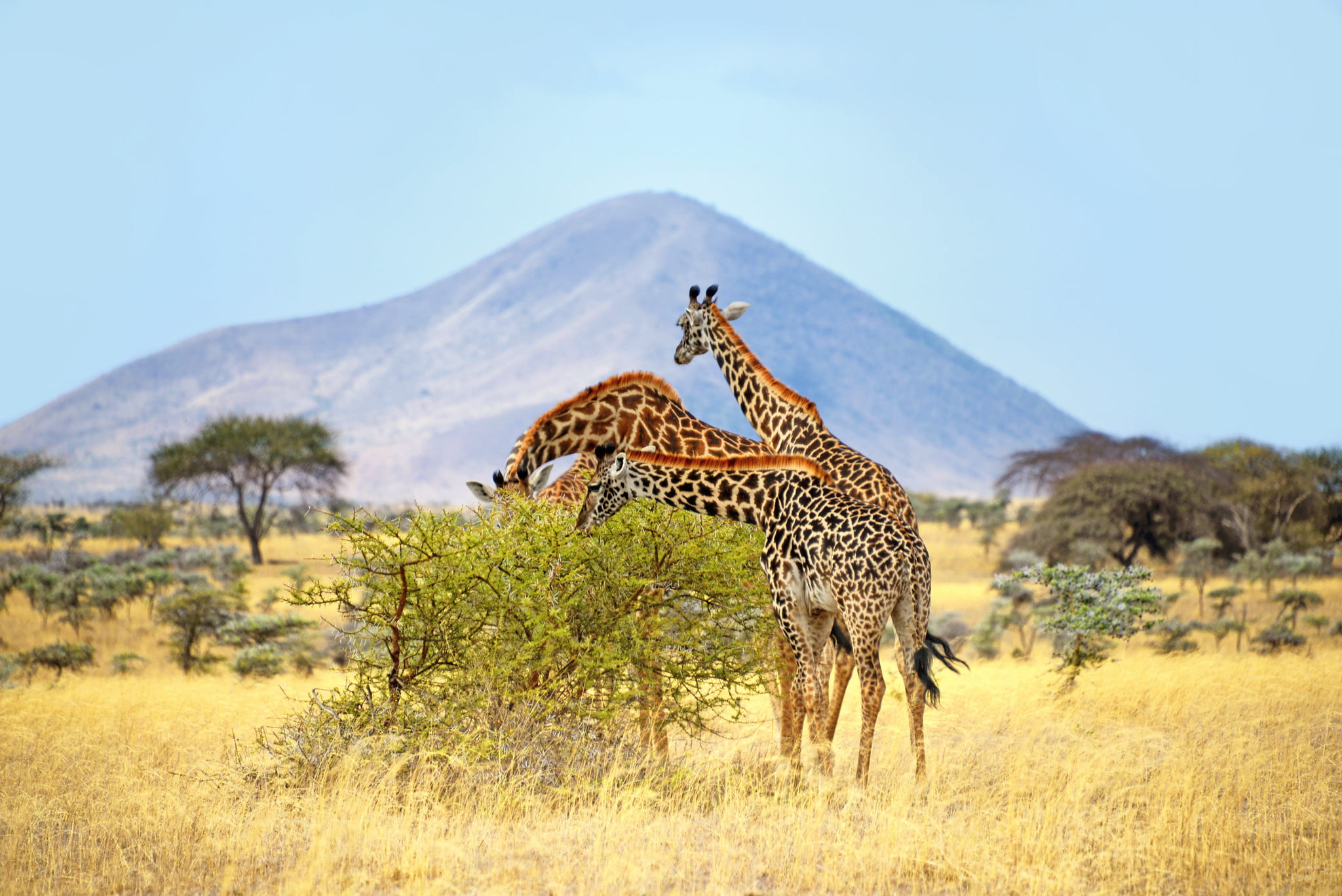 Chyulu Hills