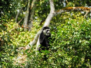A Day of Wildlife and Scenery