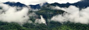 Udzungwa Mountains National Park
