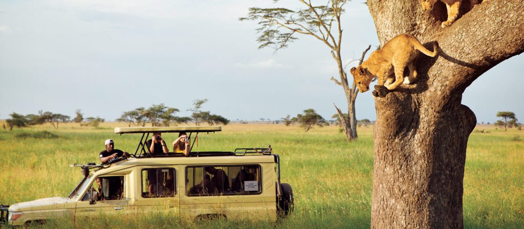 Soul of Africa Tanzania