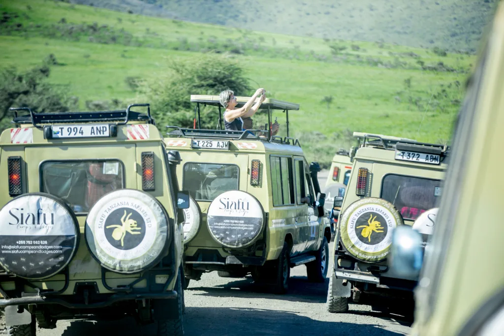 4 Days Tanzania Safari