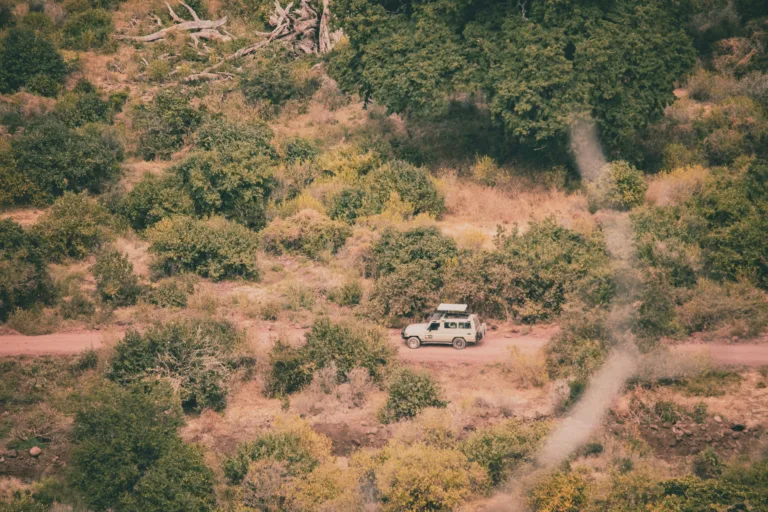 Lake Manyara National Park Day Trip